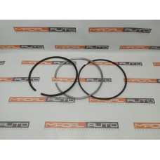 Кольца поршневые STD 3.0x2.5x3.0 DAF EURO6 2048648