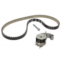 Комплект ГРМ FORD 2437028